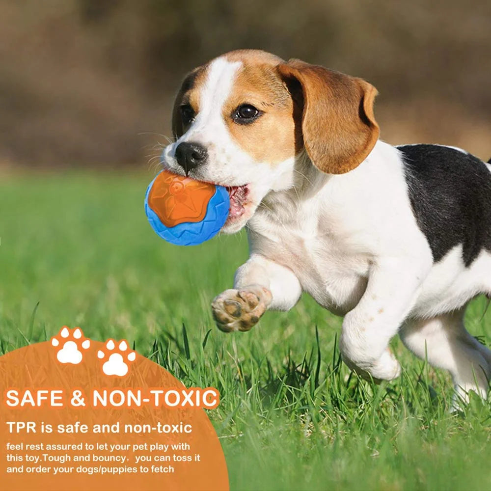 Rubber Dog Toys, Bite Resistant & Teeth Cleaning