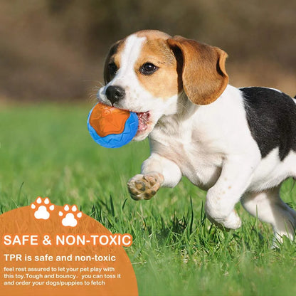 Rubber Dog Toys, Bite Resistant & Teeth Cleaning