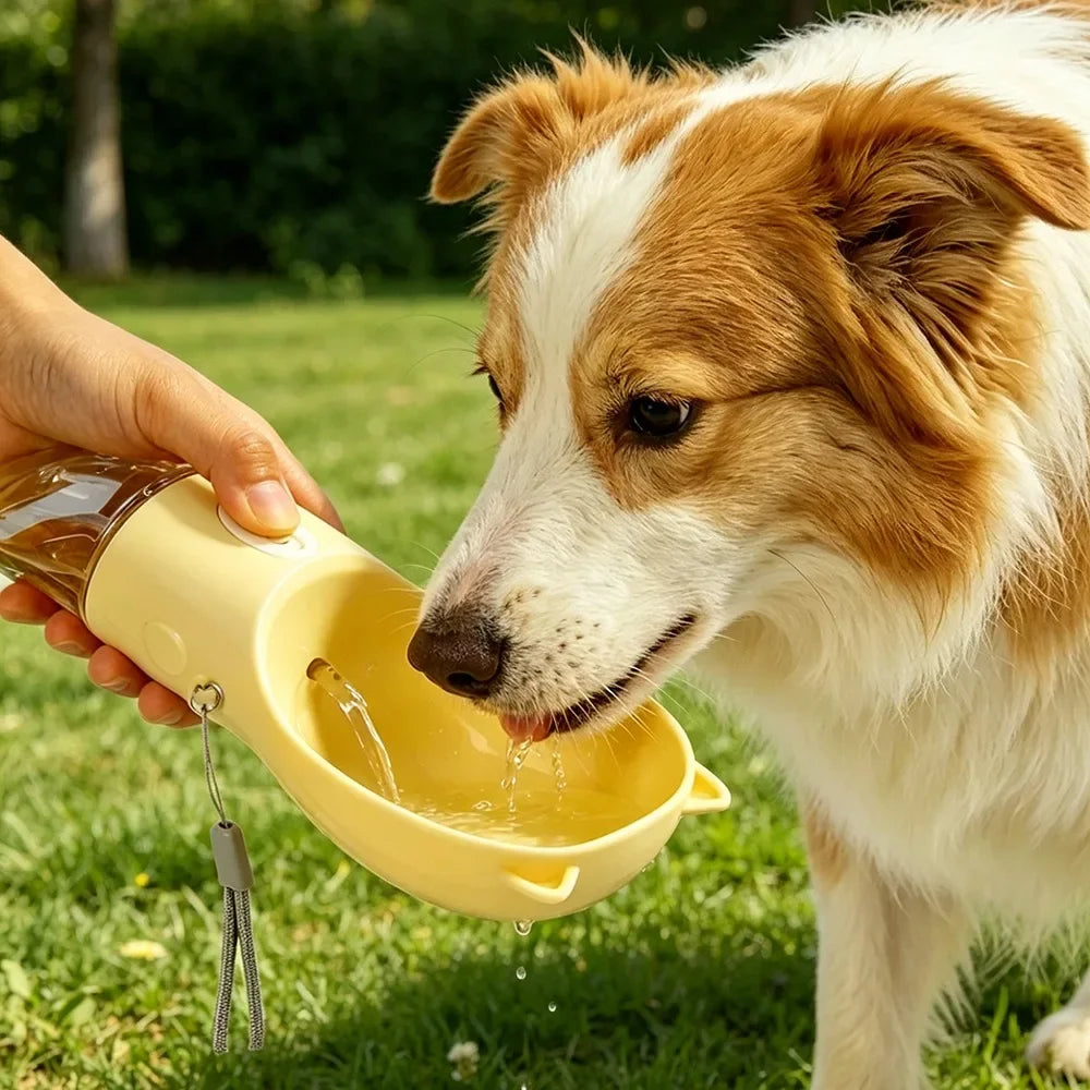 On-the-Go Dog Water Bottle & Bowl Combo