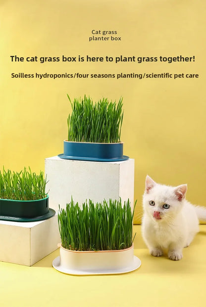 Hydroponic Cat Grass Box