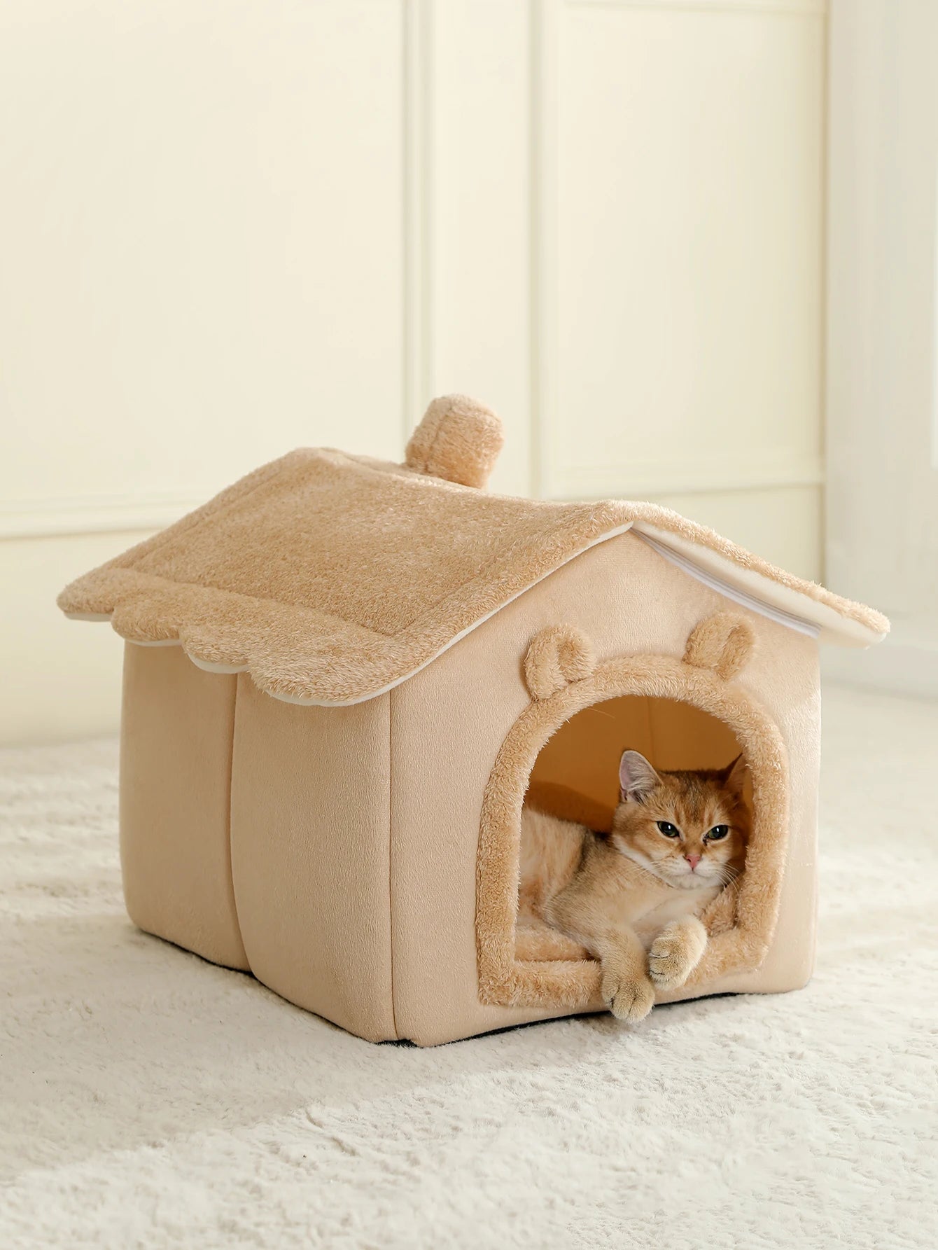 Cat House