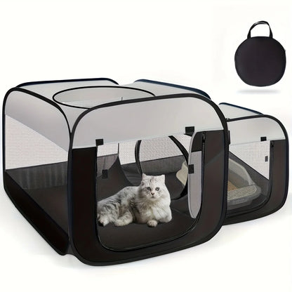 Kitty Dome