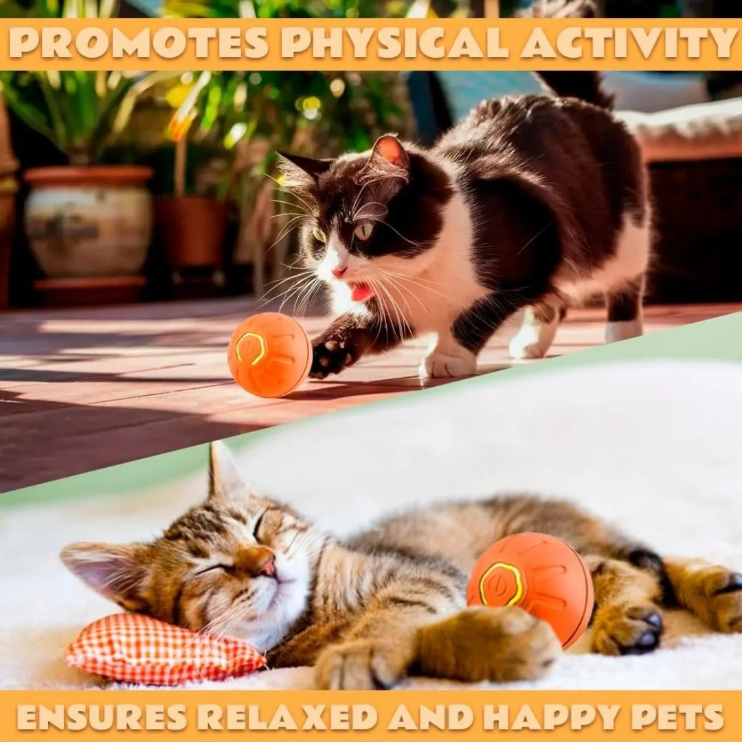 Electric Amusement Pet Ball