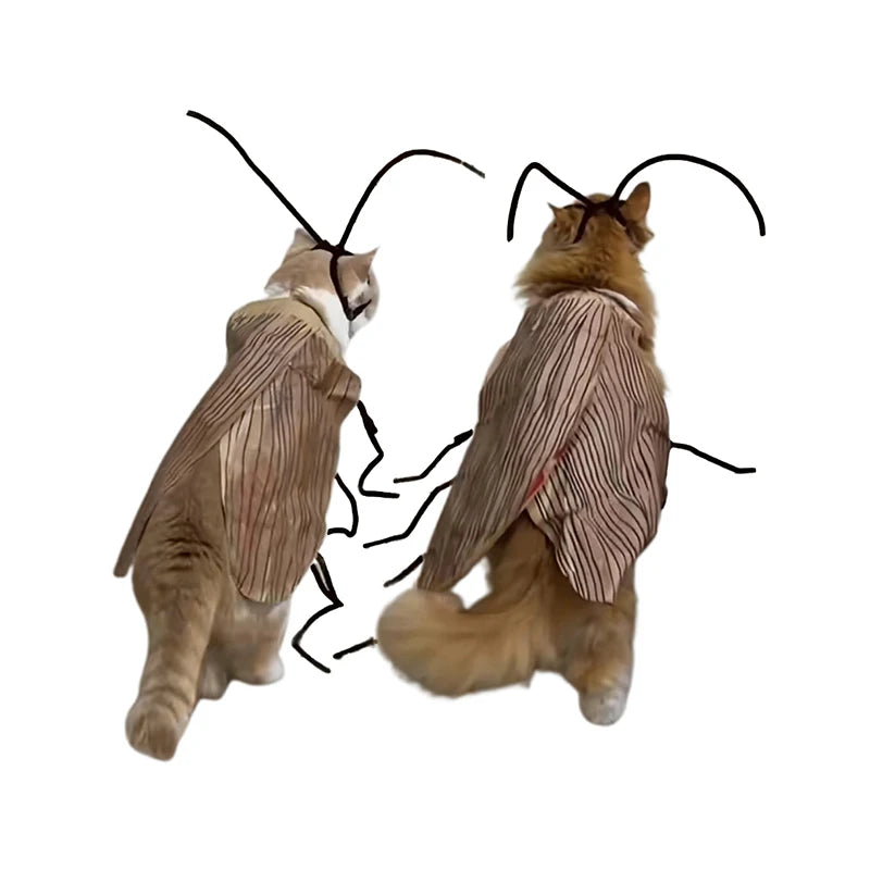 Cockroach Pet Costume