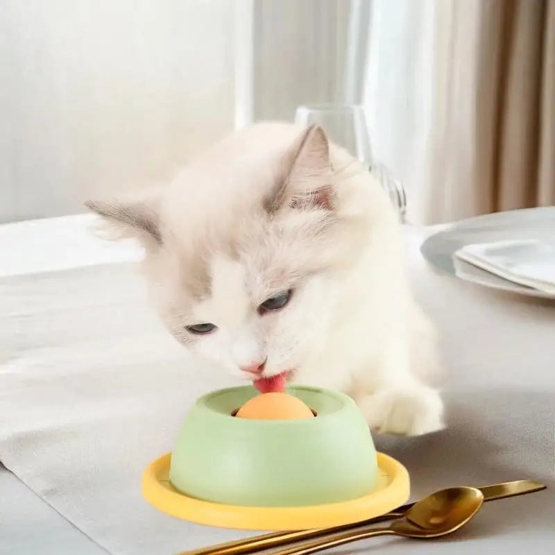 Licker Dog
