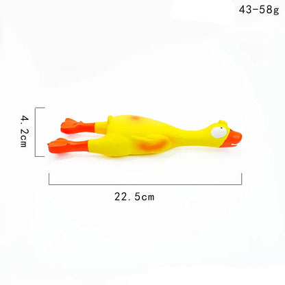 Latex Squeaky Dog Toy