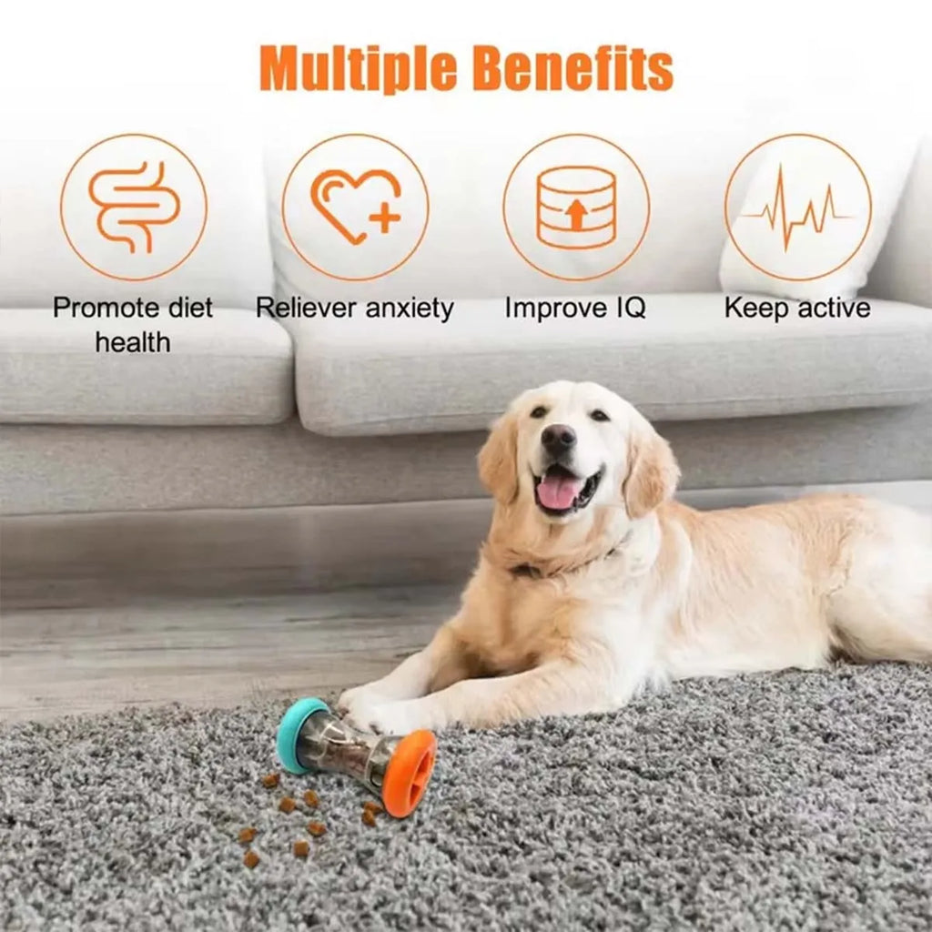Slow-Feed Treat Dispensing Puzzle Toy