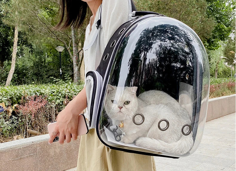 Space Capsule Backpack