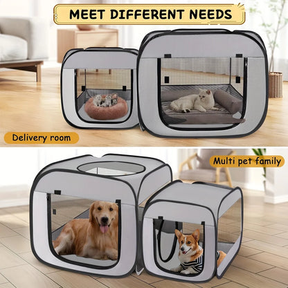 Kitty Dome