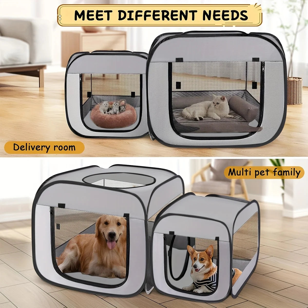 Kitty Dome
