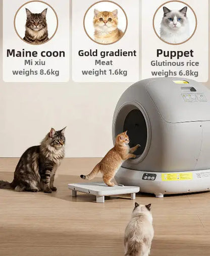 Premium Smart Cat Litter Box