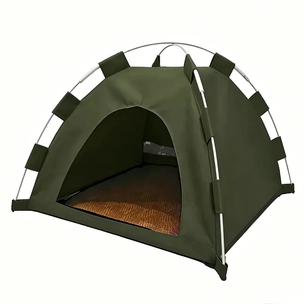 Kitten Tent
