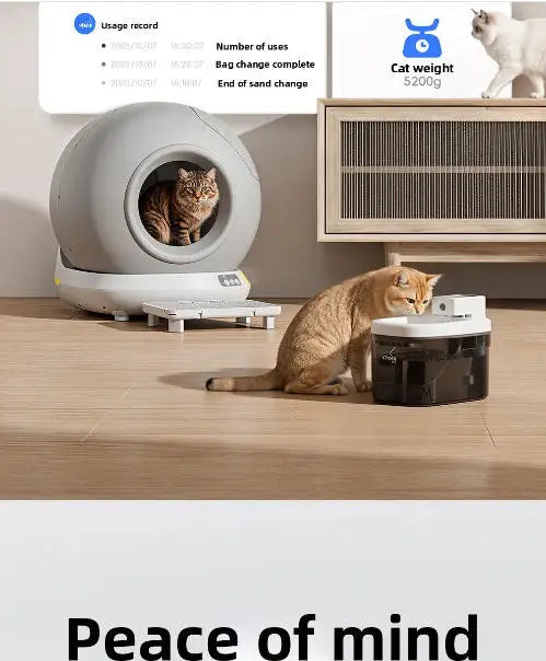 Premium Smart Cat Litter Box