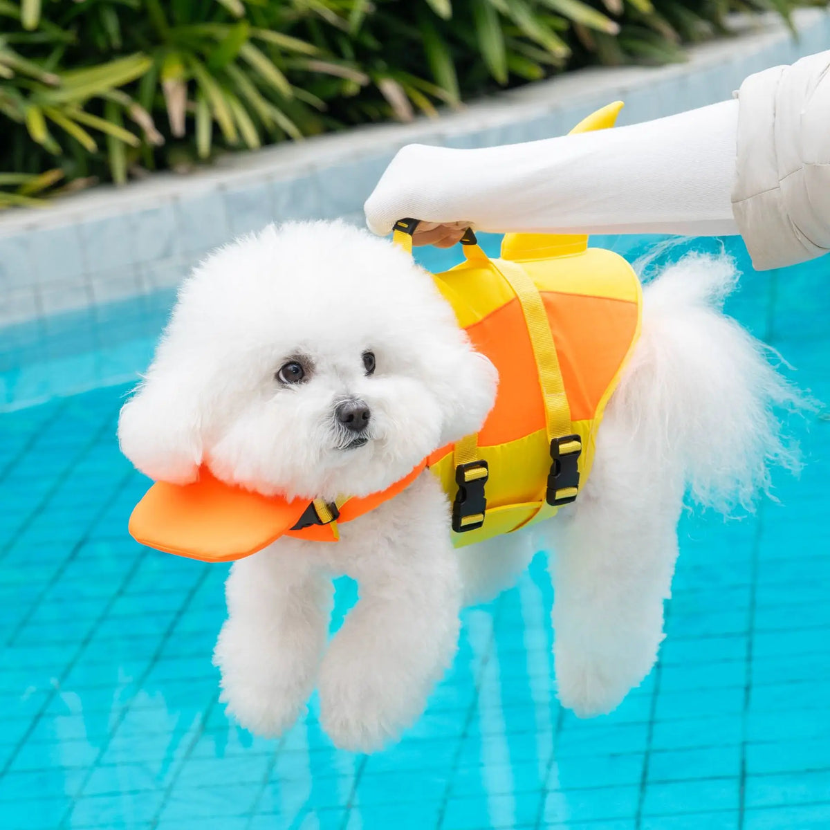 Swimming Life Jacket For Dogs