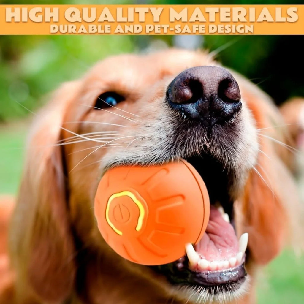 Electric Amusement Pet Ball