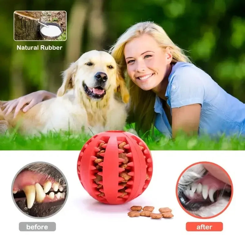 Rubber Built-In Food Storage Bin