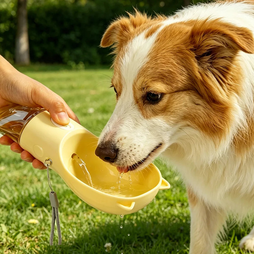 On-the-Go Dog Water Bottle & Bowl Combo