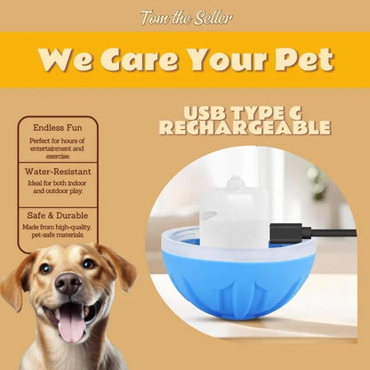 Electric Amusement Pet Ball