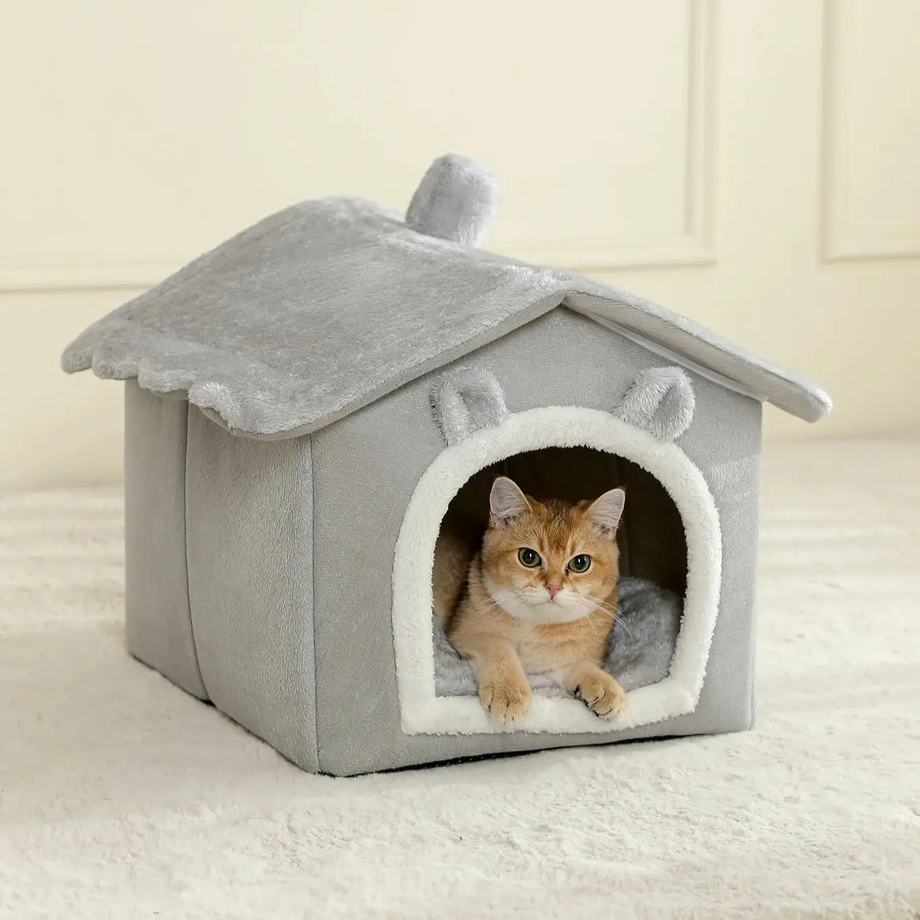 Cat House