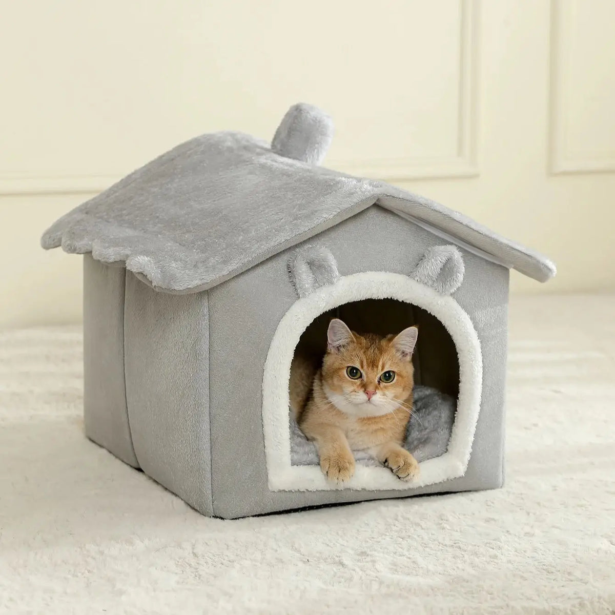 Cat House