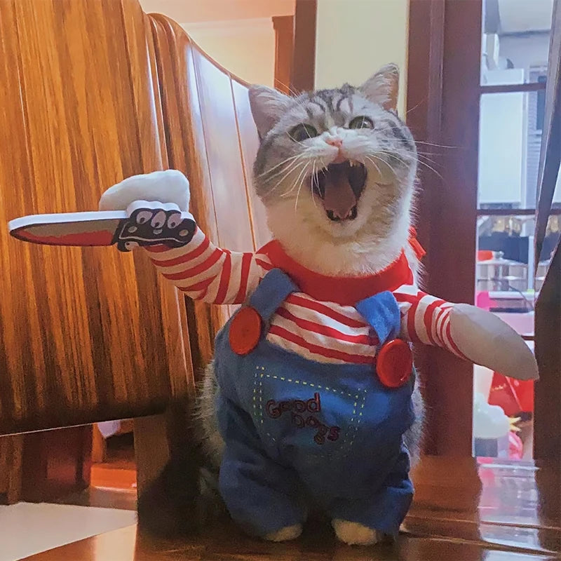 Halloween Costumes For Small Medium Cat
