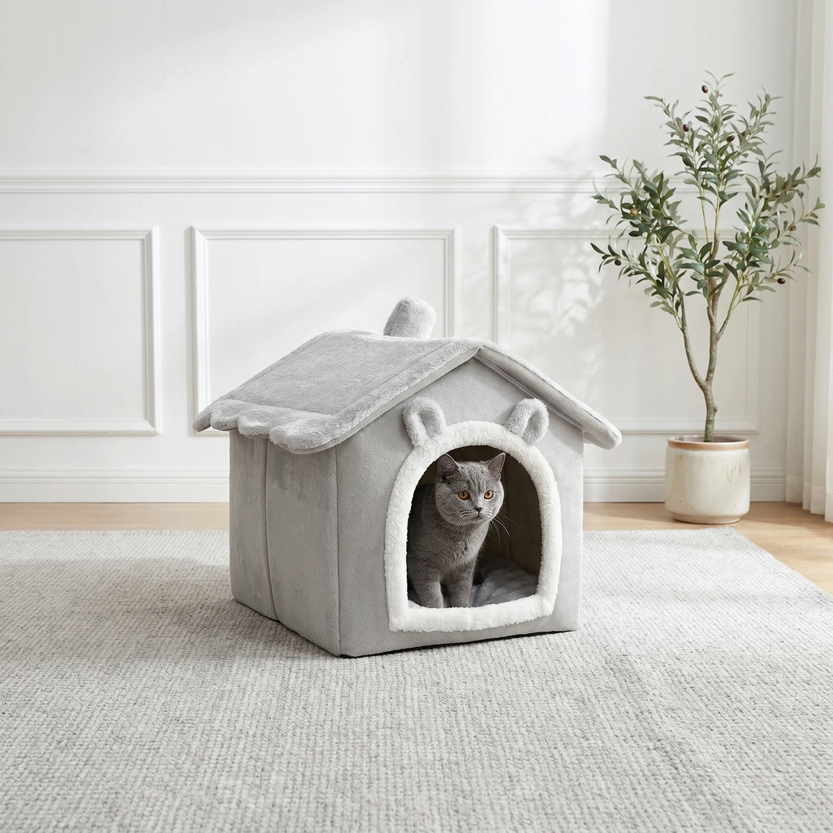 Cat House