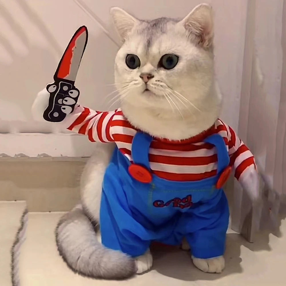 Halloween Costumes For Small Medium Cat