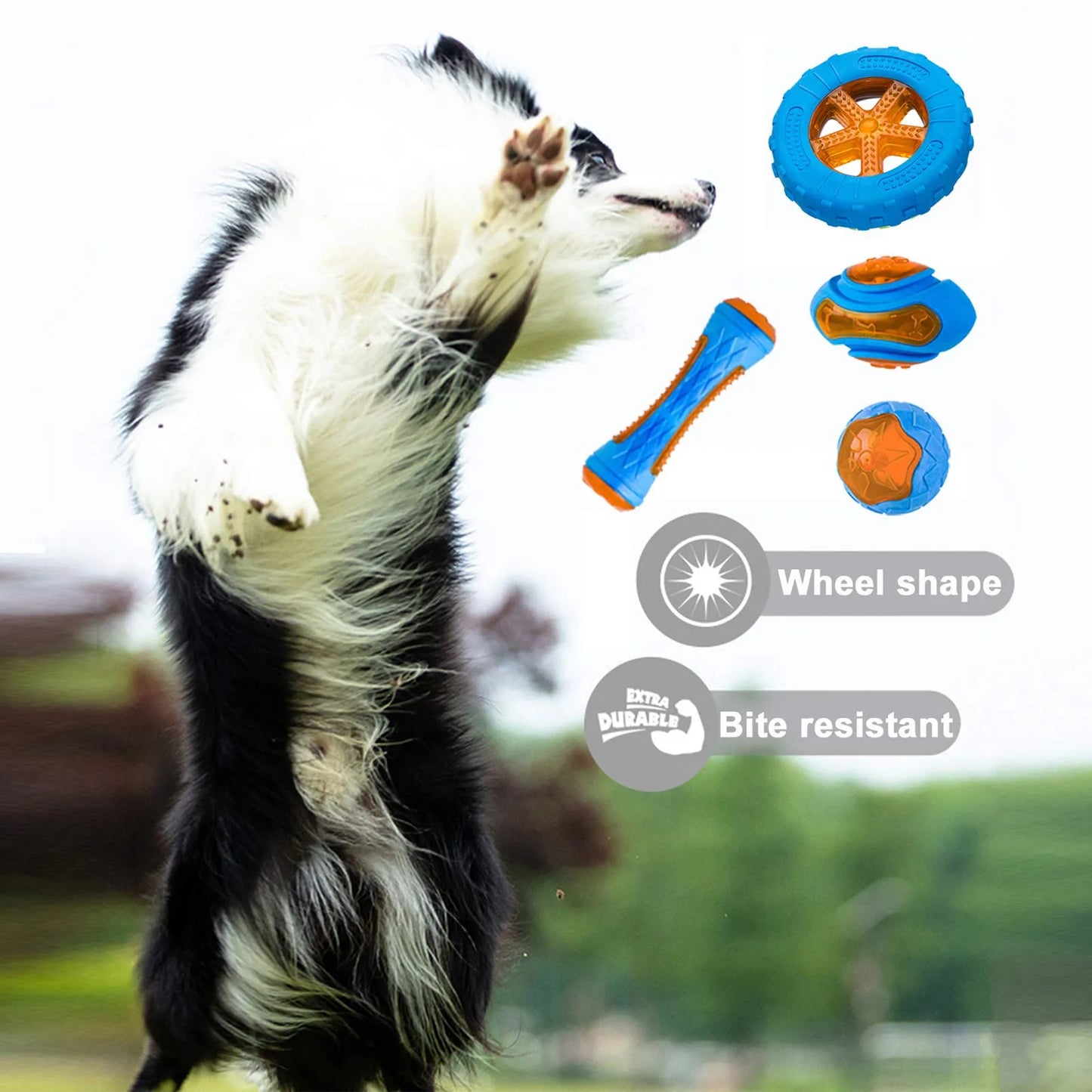 Rubber Dog Toys, Bite Resistant & Teeth Cleaning