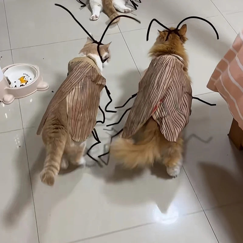 Cockroach Pet Costume