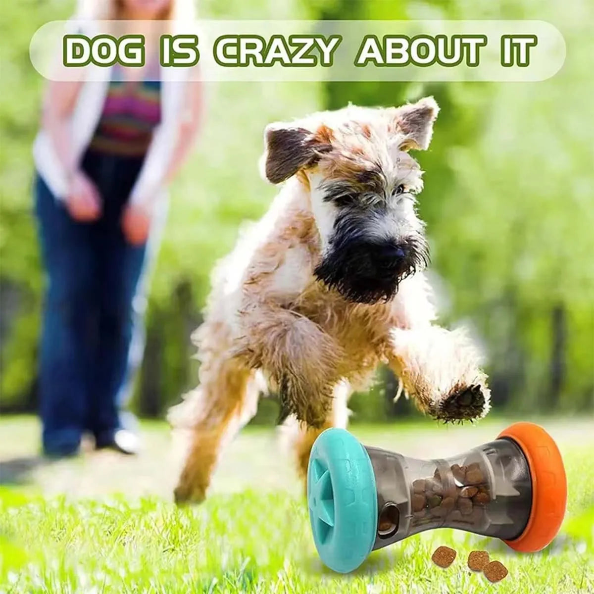 Slow-Feed Treat Dispensing Puzzle Toy