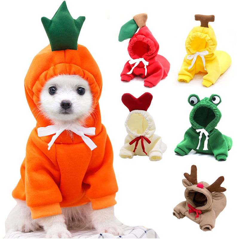 Cute Hoodies for Small Dogs 