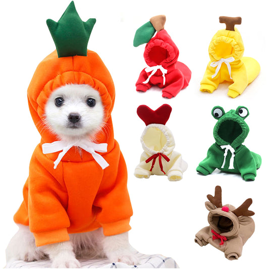 Cute Hoodies for Small Dogs 